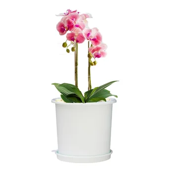 Transparentné Orchidea, Kvet Kontajner Puzdro Root Plastové Kvet Kontajner Škôlky Box Domov Záhrada Dodávky Kvet Sadenie