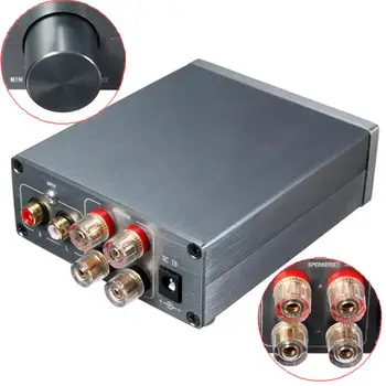 TPA3116 Mini Digitálny Zosilňovač hi-fi Stereo Výstup, 2.0 Kanálov Domácej Ploche HiFi Audio Amp 50WX2