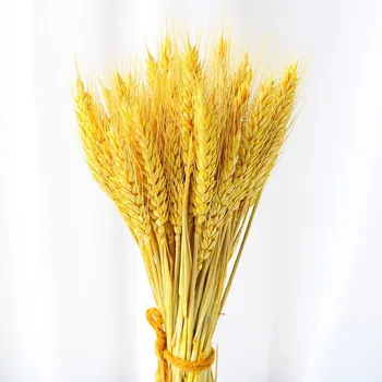 65 cm Reálne Pšenica Kvet Prírodné Pampas Trávy Sušené Kvety Na spoločenské, Svadobné Dekorácie, Remeselné Umelých Rastlín Zápisník Kytice