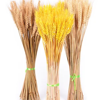 65 cm Reálne Pšenica Kvet Prírodné Pampas Trávy Sušené Kvety Na spoločenské, Svadobné Dekorácie, Remeselné Umelých Rastlín Zápisník Kytice