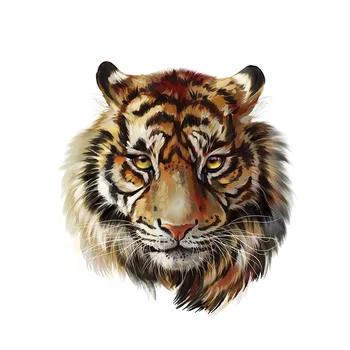 Poemyi Pohode Tiger Železa-na Patche pre Oblečenie, Tričko Rock and Roll 3D Zvierat Osobnosti Prenos Tepla Nálepky Appliques R