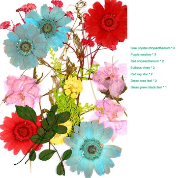 HORÚCE Stlačené Kvet Zmiešané Sušené Kvety DIY Umenie Kvetinový Dekoroch Kolekcie Darček Plavidlá DIY NDS