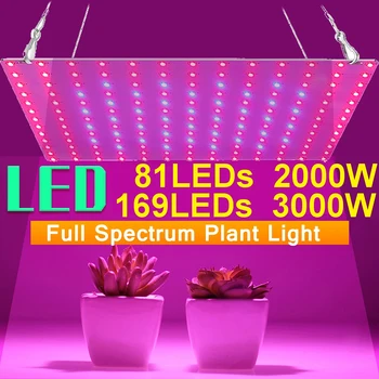 81/169 LED Rásť Svetlo Phytolamp Pre Rastlín Rastúcich Lampa Led Svetlá Phyto na Čítanie Vnútorné Osvetlenie celého Spektra Skleníkových Záhradníctvo