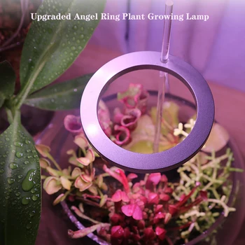 5V USB Rásť Svetlo s Časovač celé Spektrum Phytolamp pre Rastliny, Semená kvetov Phyto Rásť Lampa pre Vnútorné zariadenia Mäsité Vyplniť Svetla