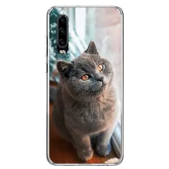 Britská Krátkosrstá Mačka Kryt Telefónu Prípade Huawei P30 P40 P20 10 Mate 10 20 30 Lite Plus Pro P Smart Z + 2019 Populárne Coque