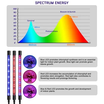 Rastlina LED Rásť Svetlo celé Spektrum Časovač Ovládanie USB Rastie Lampa pre Rastlina, Kvet Seedings Ploche Klip Phyto Lampy Rásť Box