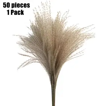 50pcs Prírodné Sušené Reed, Kvety, Tráva Phragmites Umelé Rastliny Pre Domova Svadobnú kyticu Dekorácie