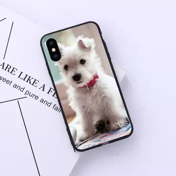 Westie Teriér, Pes Šteňa roztomilý legrační zviera Telefón puzdro pre iPhone 11 12 pro XS MAX 8 7 6 6 Plus X 5S SE 2020 XR
