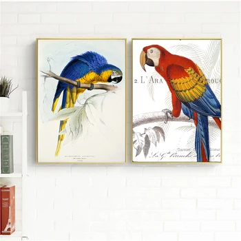 Retro Vták Umenie Papagáj Zavesenie na Stenu Umenie Plagátu Vintage Plátno Obrázky pre Obývacia Izba Dekorácie na Stenu Dekor Moderný Minimalistický