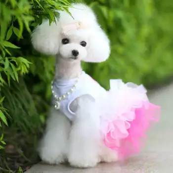 Psie Oblečenie pre Malé Psy Šaty Sweety Princezná Šaty, Ktoré ročné obdobia Šteňa Čipky Princezná Oblečenie Chihuahua Psa