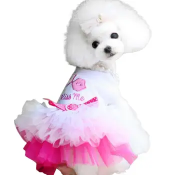 Psie Oblečenie pre Malé Psy Šaty Sweety Princezná Šaty, Ktoré ročné obdobia Šteňa Čipky Princezná Oblečenie Chihuahua Psa